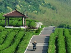 -雅达·阳羡溪山小镇中心