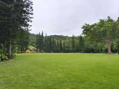 -深圳仙湖植物园