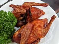 -鸽鸟轩(石岐店)