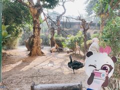 -熊猫自助餐厅.萌趣城堡(长隆熊猫酒店)