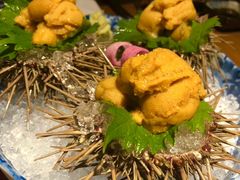 海胆-綱元·海鲜豆捞(明州里店)