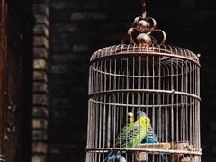 -鱼桥巷·美学川菜