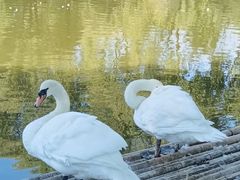 -哈尔滨北方森林动物园