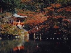 -醍醐寺