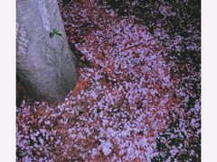 -龙美术馆(西岸馆)