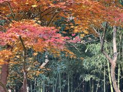 -狼山风景名胜区