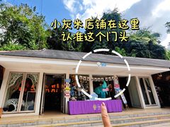-野象谷景区