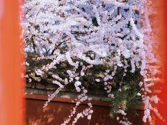 -西安市广仁寺