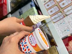-富豪雪糕车流动点(尖沙咀)