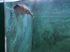 -常州海昌海洋探索馆