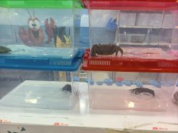 -钓虾工场·钓虾·赶海(回龙观店)