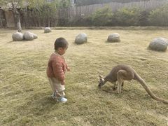 -泉州海丝野生动物世界