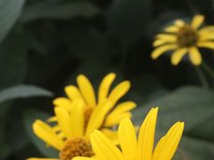 -北坞公园