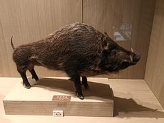 -中国农业博物馆