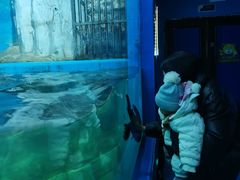 -多彩贵州城极地海洋世界