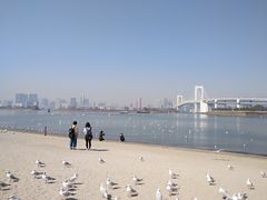 -台场海滨公园船码头
