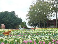 -光明农场大观园