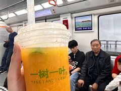 -一树一叶·福建茶档(石鼓路店)
