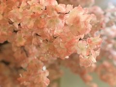 -汤里来温泉