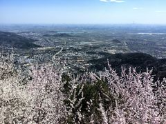 -香山公园