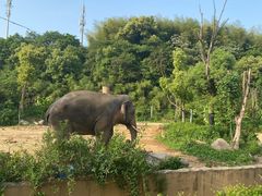 -宁波野生动物园