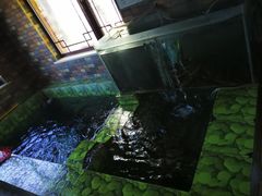 鱼池-荣德灶台鱼(圣泉寺店)