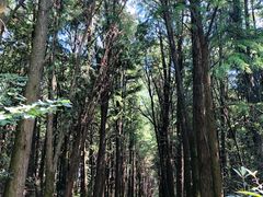 -同里国家湿地公园