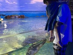 -福州罗源湾海洋世界旅游区