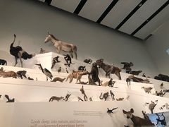 -墨尔本博物馆(Melbourne Museum)