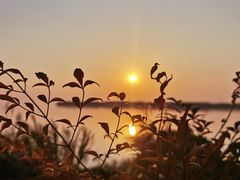 -苏州苏州湾艾美酒店-新食谱全日制餐厅