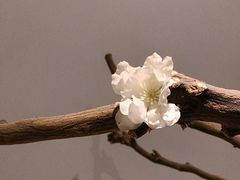 -锦初·禅意4K影院式足道·新中式SPA(茂业天地店)