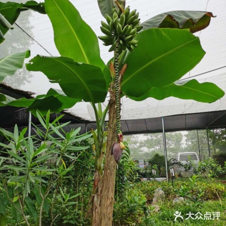 游玩攻略‖这家团购好划算！