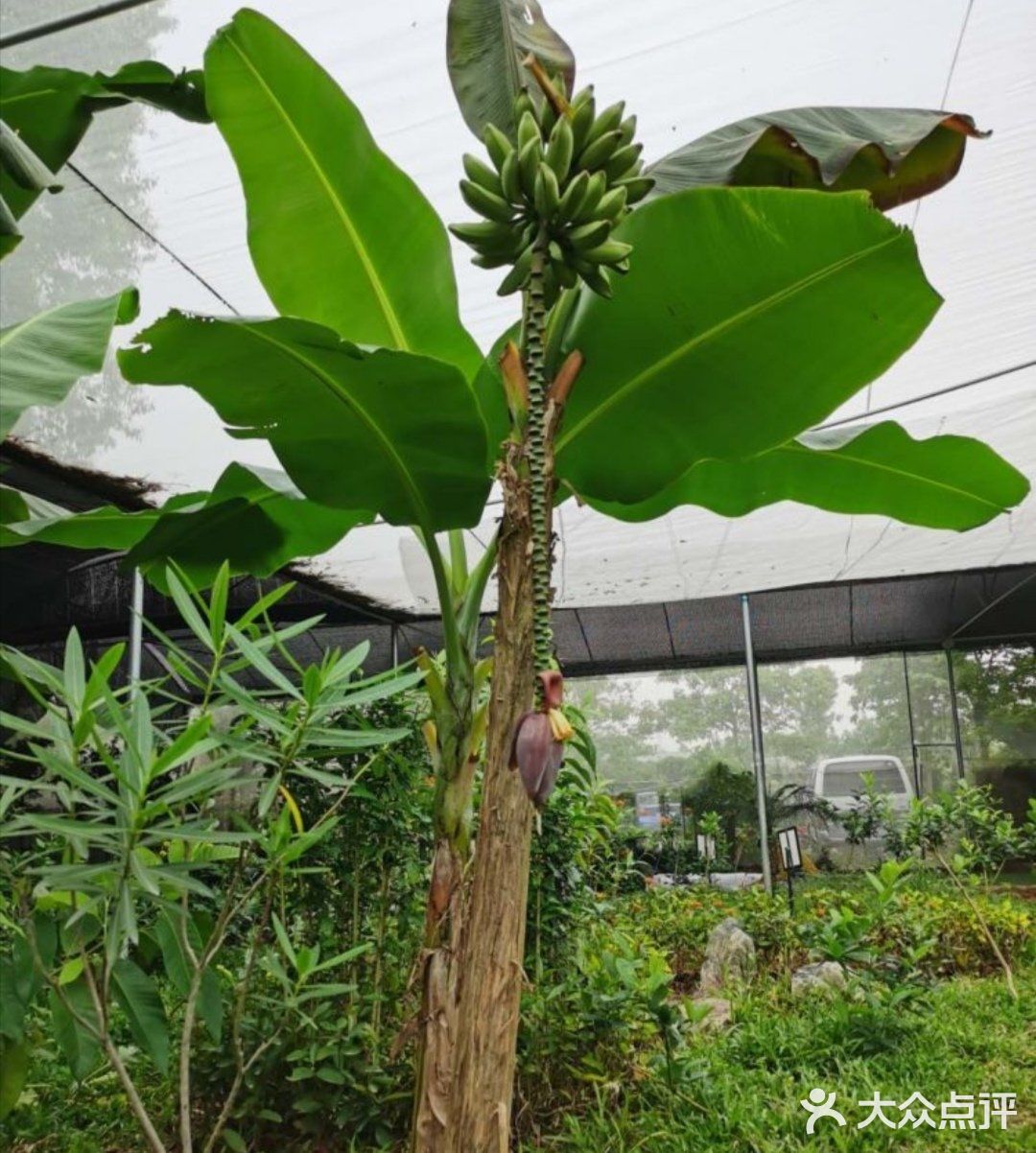 游玩攻略‖这家团购好划算！