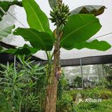 游玩攻略‖这家团购好划算！