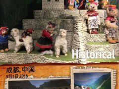 -成都泰迪熊博物馆