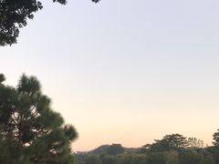 -东莞植物园