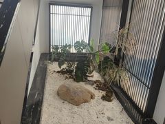 -谢氏老金口七号宴(武昌大道店)