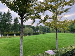 -皇粮浜湿地公园