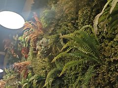 -味之绝热血美蛙鱼火锅(中坝店)