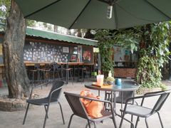 -柴犬高等学院·狗咖·柴犬售卖·宠物训练