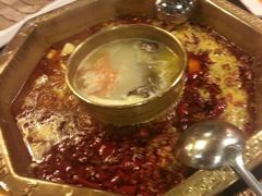 android_upload_pic-蜀九香火锅(彩虹店)