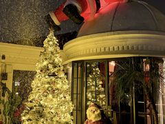 -弦月窗LUNETTE BY AMANDA(复兴路店)