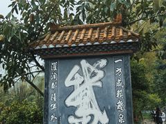 -靖西鹅泉风景区