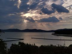 -上海市保健医疗中心