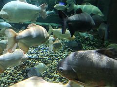 -成都浩海立方海洋公园