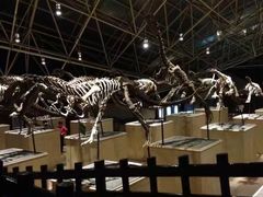 -世界恐龙谷景区