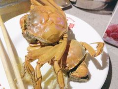 -芝小官毛肚火锅海鲜自助(苏州吴江区万宝店)