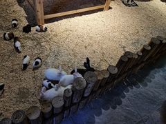 -绿色星球动物主题公园
