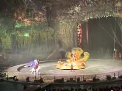 -广州长隆国际大马戏