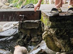 -石台牯牛降景区